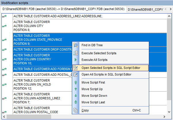 Working with Project - Modification Scripts