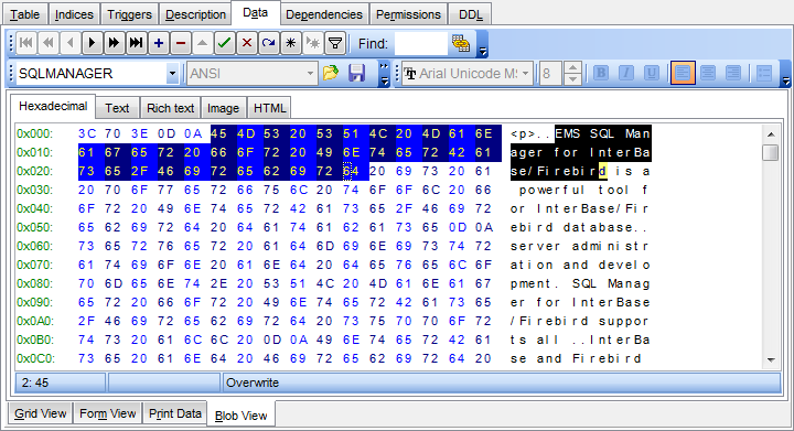 Data View - BLOB View - Hexadecimal