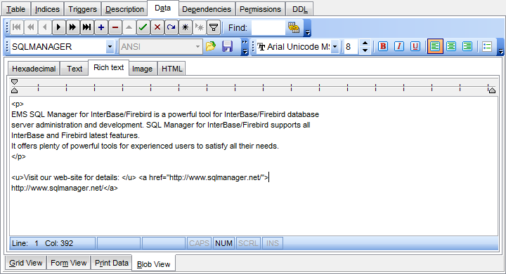 Data View - BLOB View - Rich Text