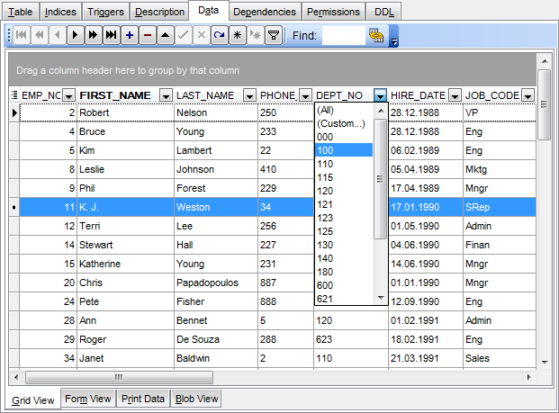 Data View - Grid View - Filtering records