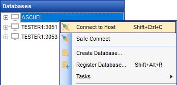 DB Explorer - Connecting to host