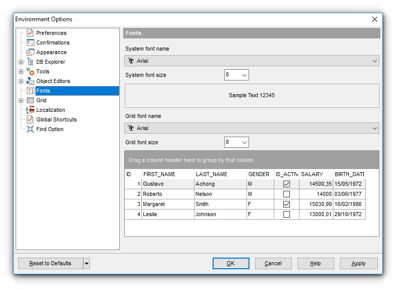 Environment Options - Fonts