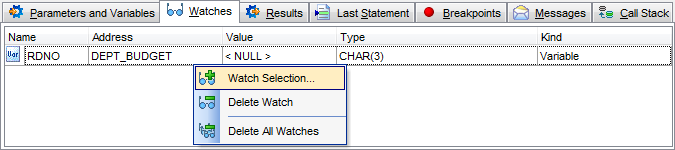 Procedure Debugger - Debug info - Watches