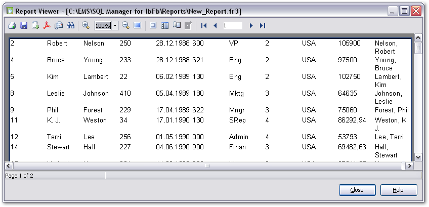 Report Designer - Preview