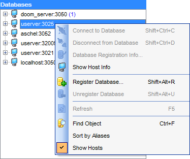 hs2410 - DB Explorer - Host context menu