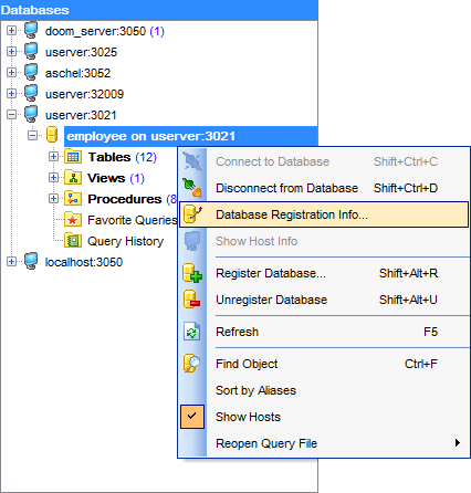 hs2420 - DB Explorer - Database context menu