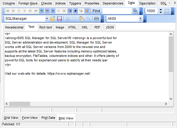 Data View - BLOB View - Text