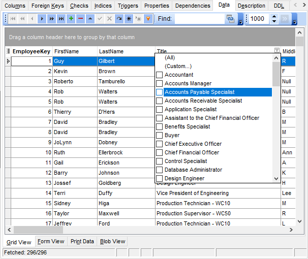 Data View - Grid View - Filtering records