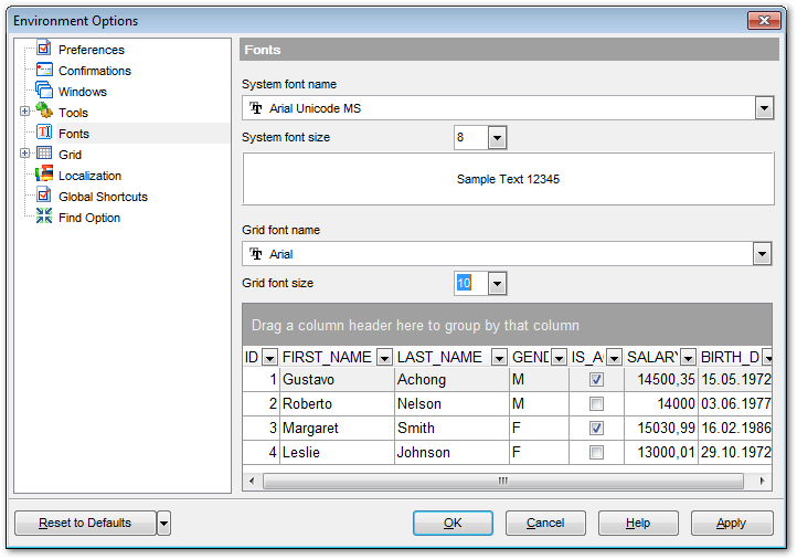 Environment Options - Fonts