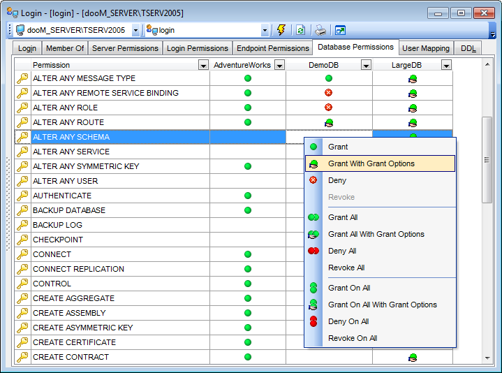 Login Editor - Defining database permissions