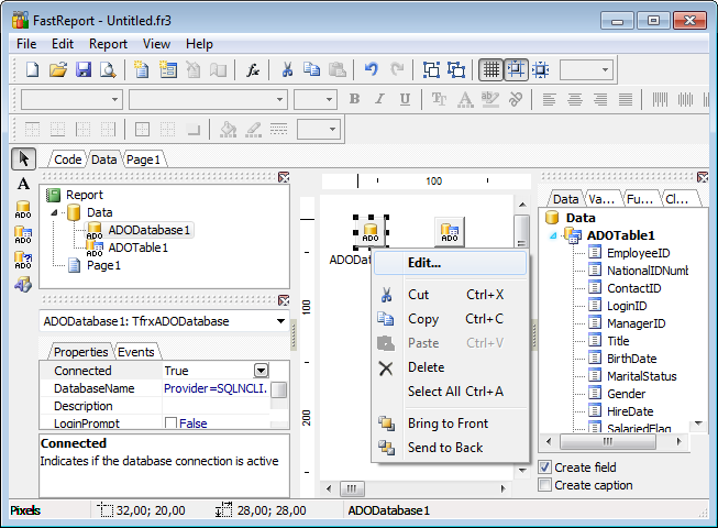 Report Designer - Adding database component