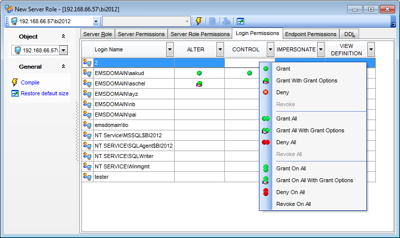 Server Role Editor - Defining login permissions