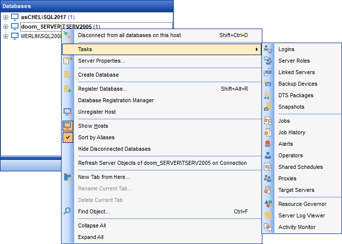 Using context menus - Host context menu