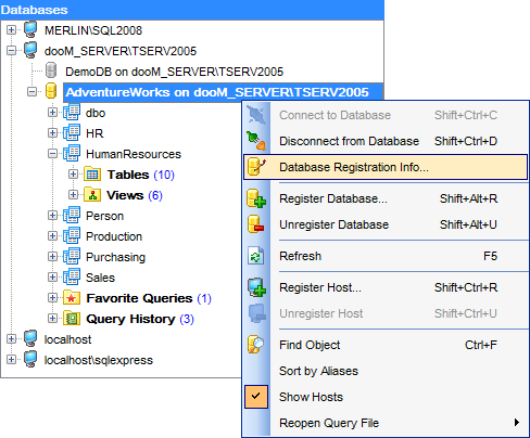 hs2420 - DB Explorer - Database context menu