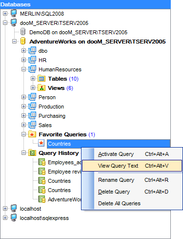 hs2430 - DB Explorer - Query context menu