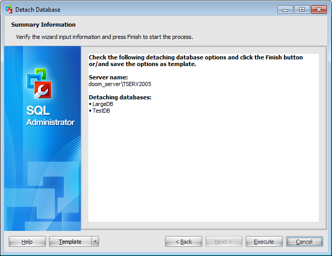 Detach Database Wizard - Viewing summary information