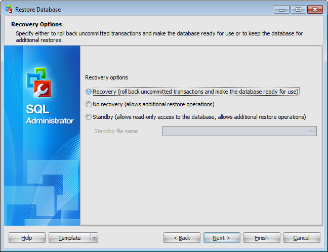 Restore Database Wizard - Setting recovery options