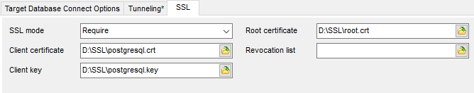 Managing Projects - Setting DB options - SSL