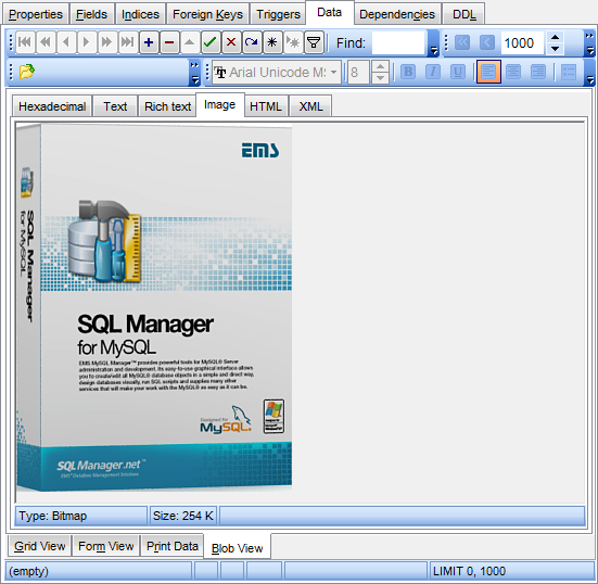 Data View - BLOB View - Image