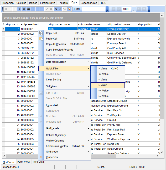 Data View - Grid View - Quick Filter