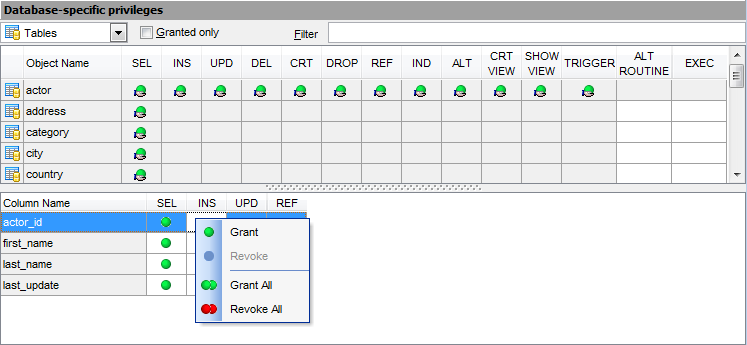 Grant Manager - Managing column permissions