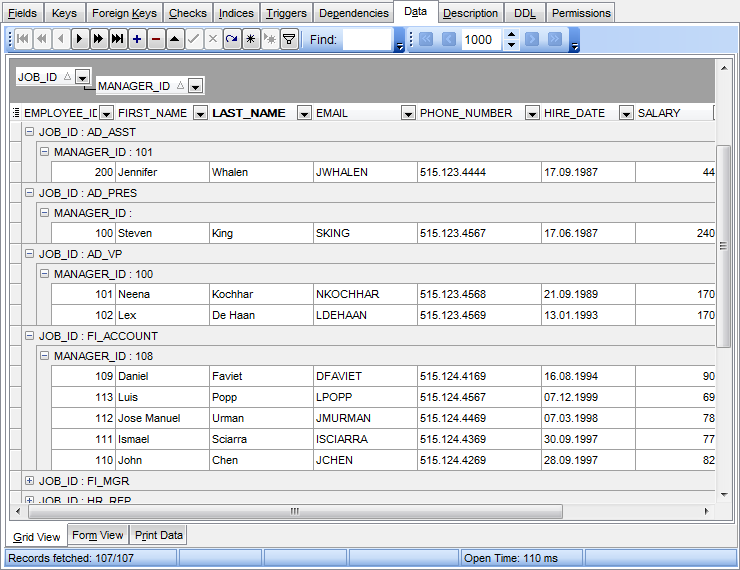 Data View - Grid View - Grouping data by two columns