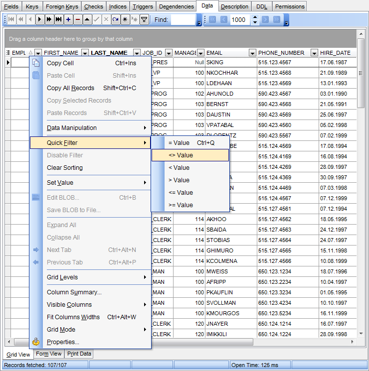 Data View - Grid View - Quick Filter