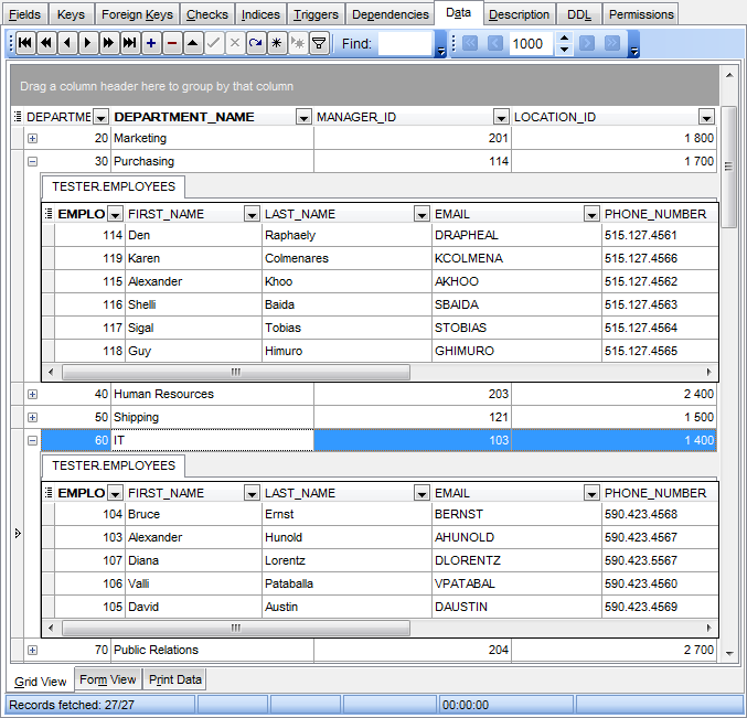 Data View - Grid View - Working in multi-level mode