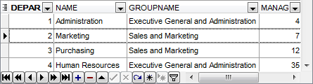 Environment Options - Grid - Show navigator