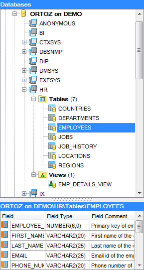 hs3100 - Database Explorer