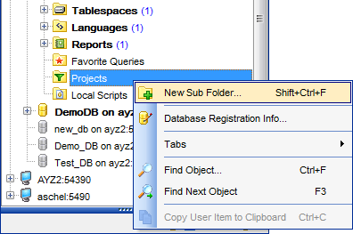 DB Explorer - Managing projects - New Subfolder