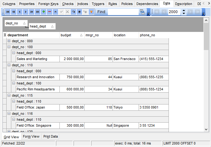 Data View - Grid View - Grouping data by two columns