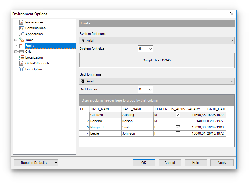 Environment Options - Fonts