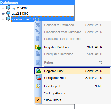 hs2410 - DB Explorer - Host context menu