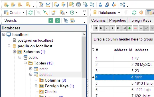 Интерфейс программы EMS SQL Manager для разработки баз данных PostgreSQL